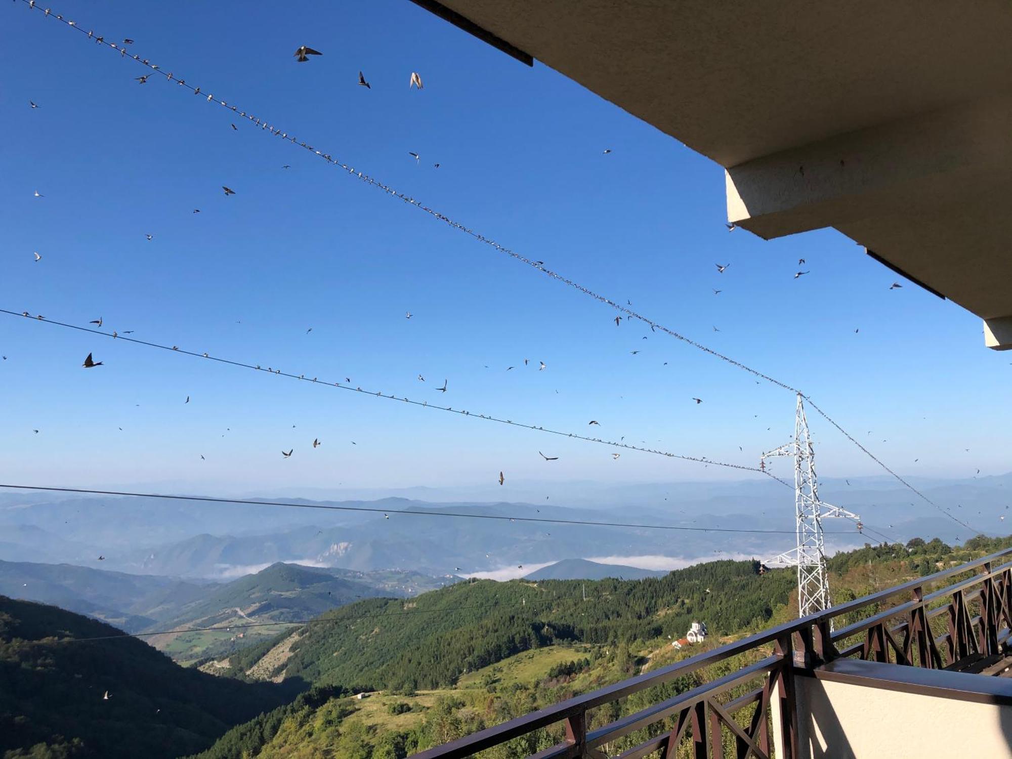 Milmari M12 Daire Kopaonik Dış mekan fotoğraf