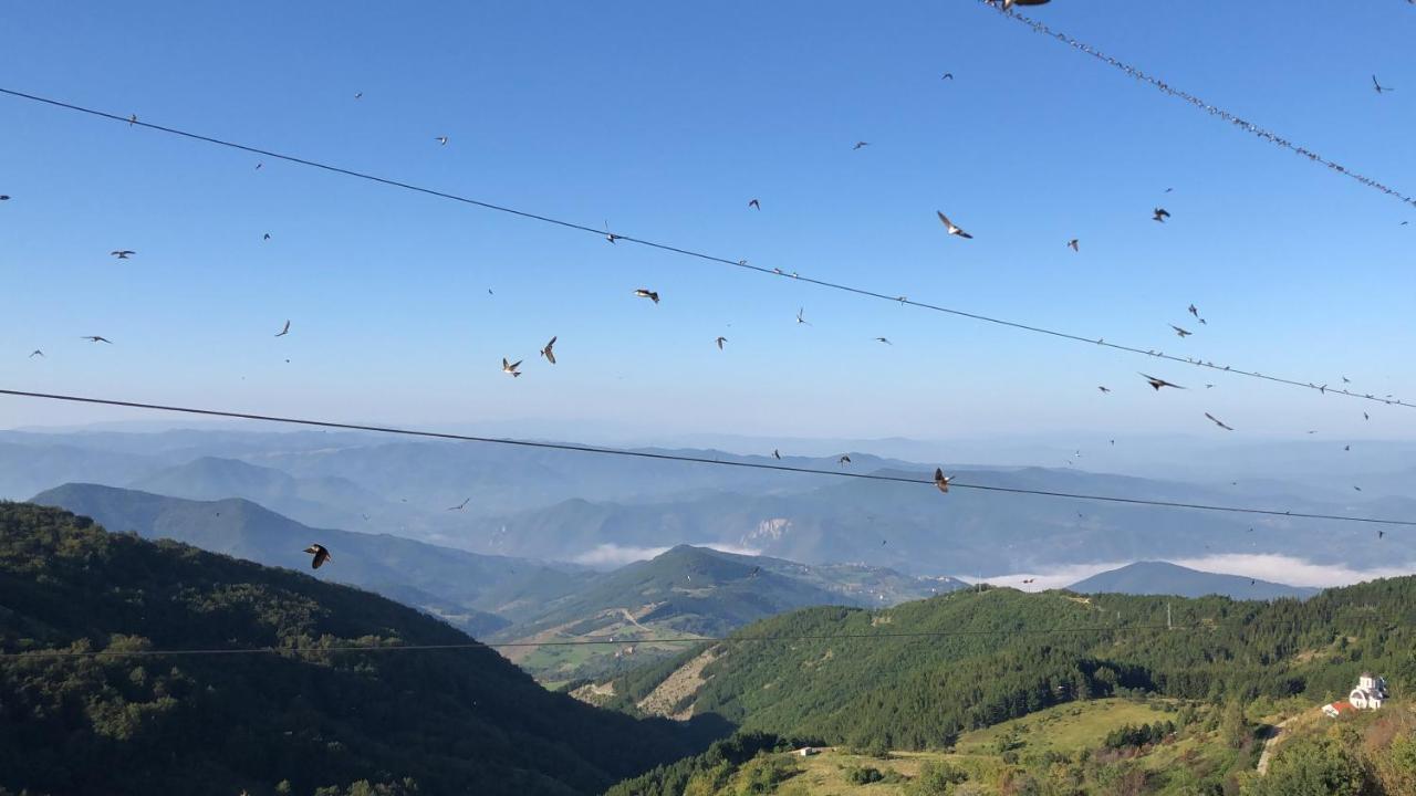 Milmari M12 Daire Kopaonik Dış mekan fotoğraf