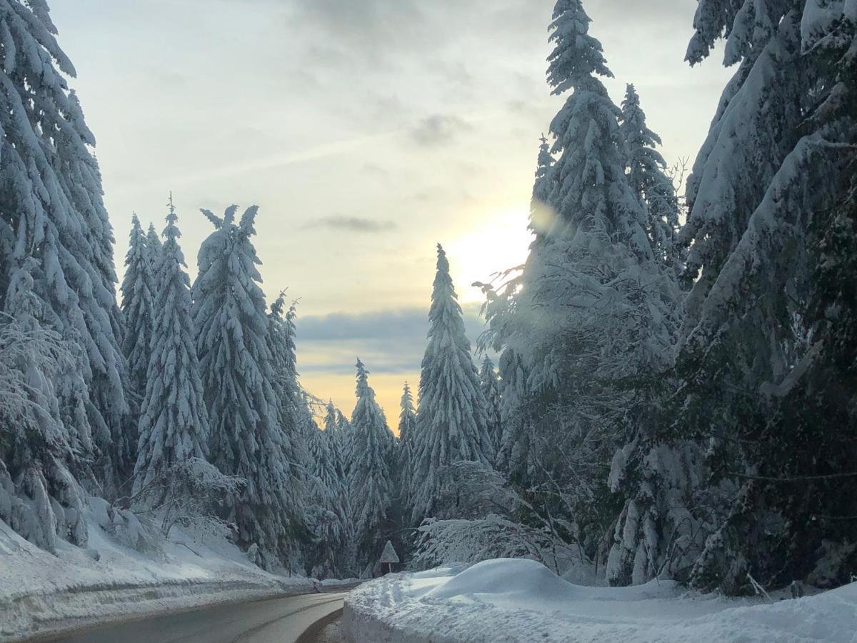 Milmari M12 Daire Kopaonik Dış mekan fotoğraf