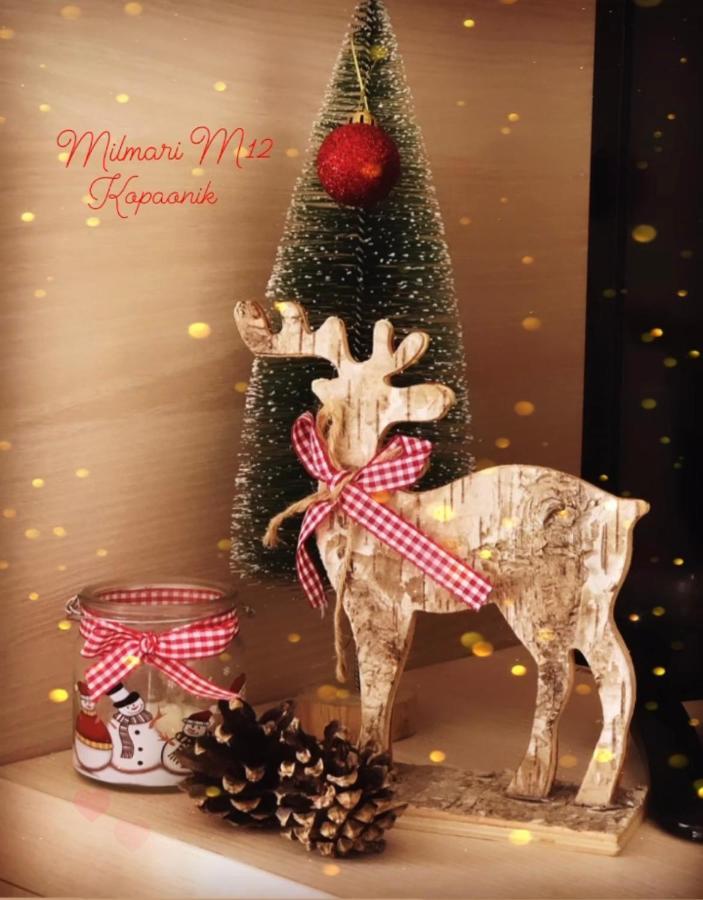 Milmari M12 Daire Kopaonik Dış mekan fotoğraf