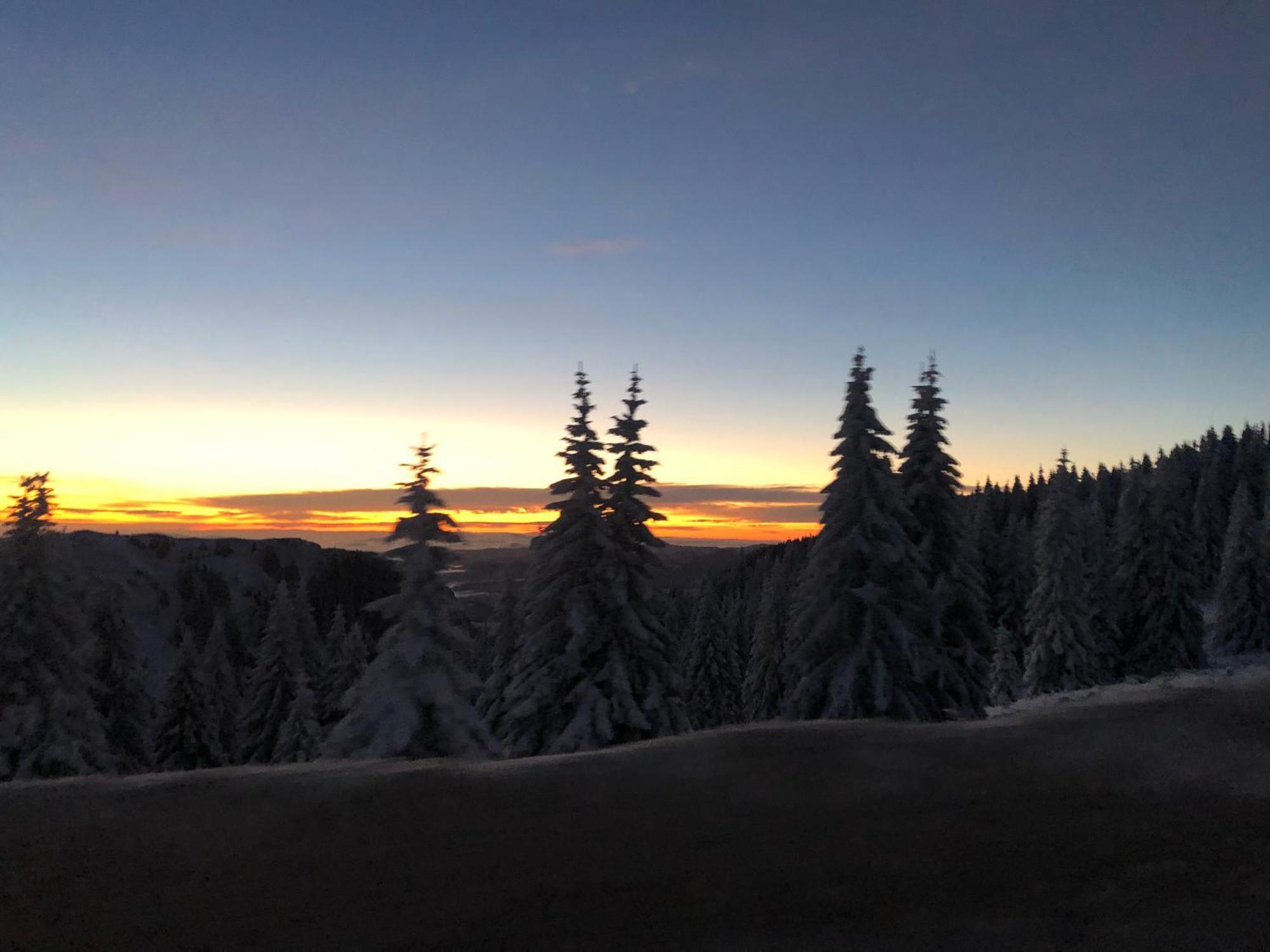Milmari M12 Daire Kopaonik Dış mekan fotoğraf